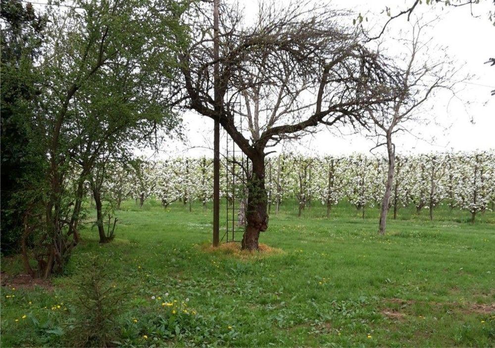 Agriturismo Dosso Al Porto Villa Rolo Luaran gambar