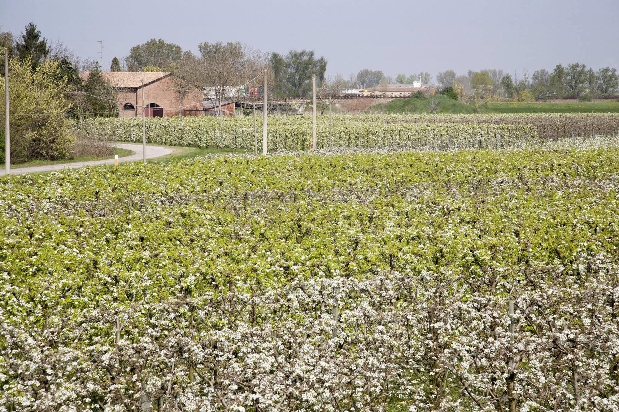 Agriturismo Dosso Al Porto Villa Rolo Luaran gambar